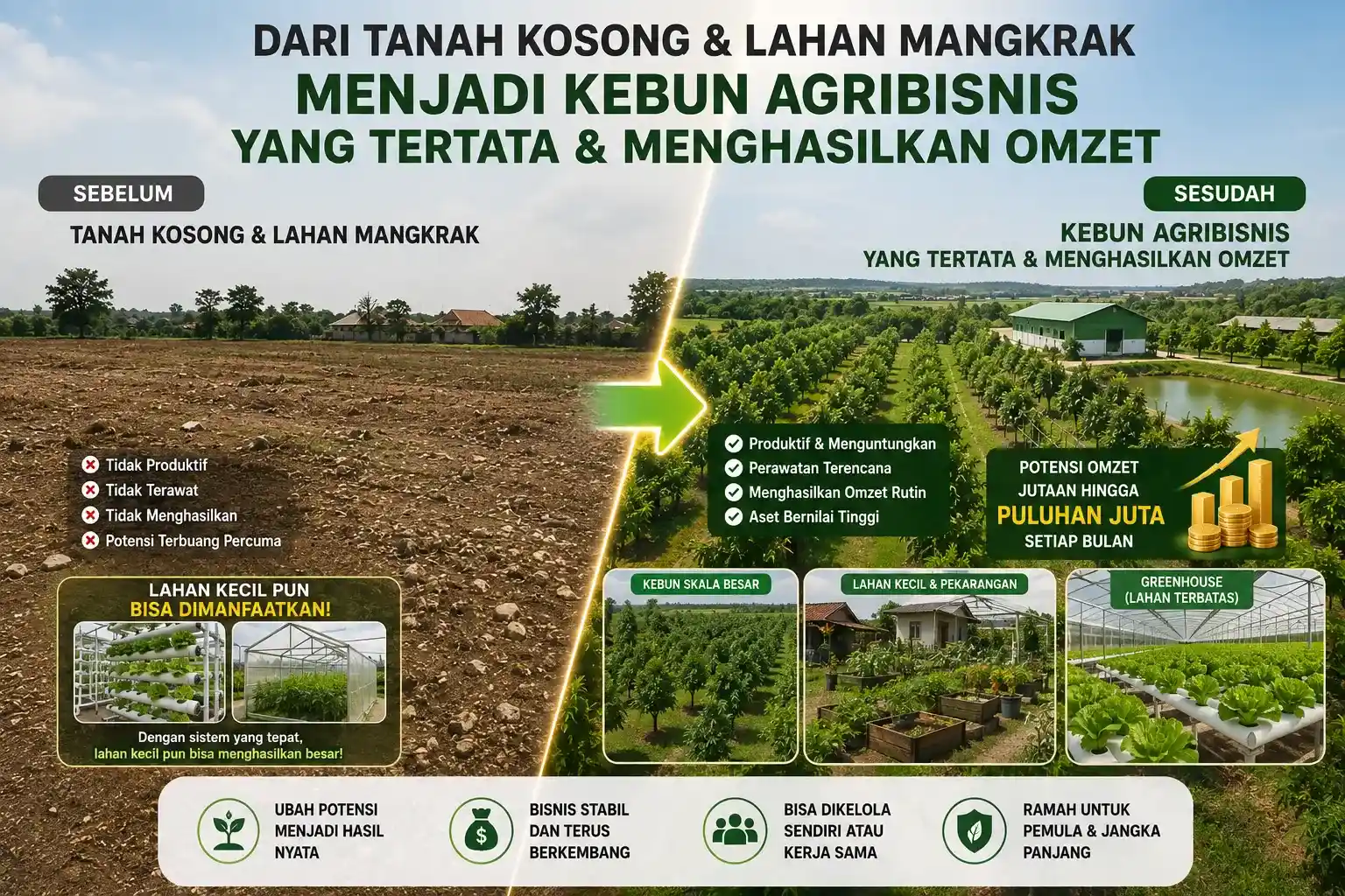 Transformasi Tanah Kosong Menjadi Kebun Agribisnis Produktif dan Menghasilkan