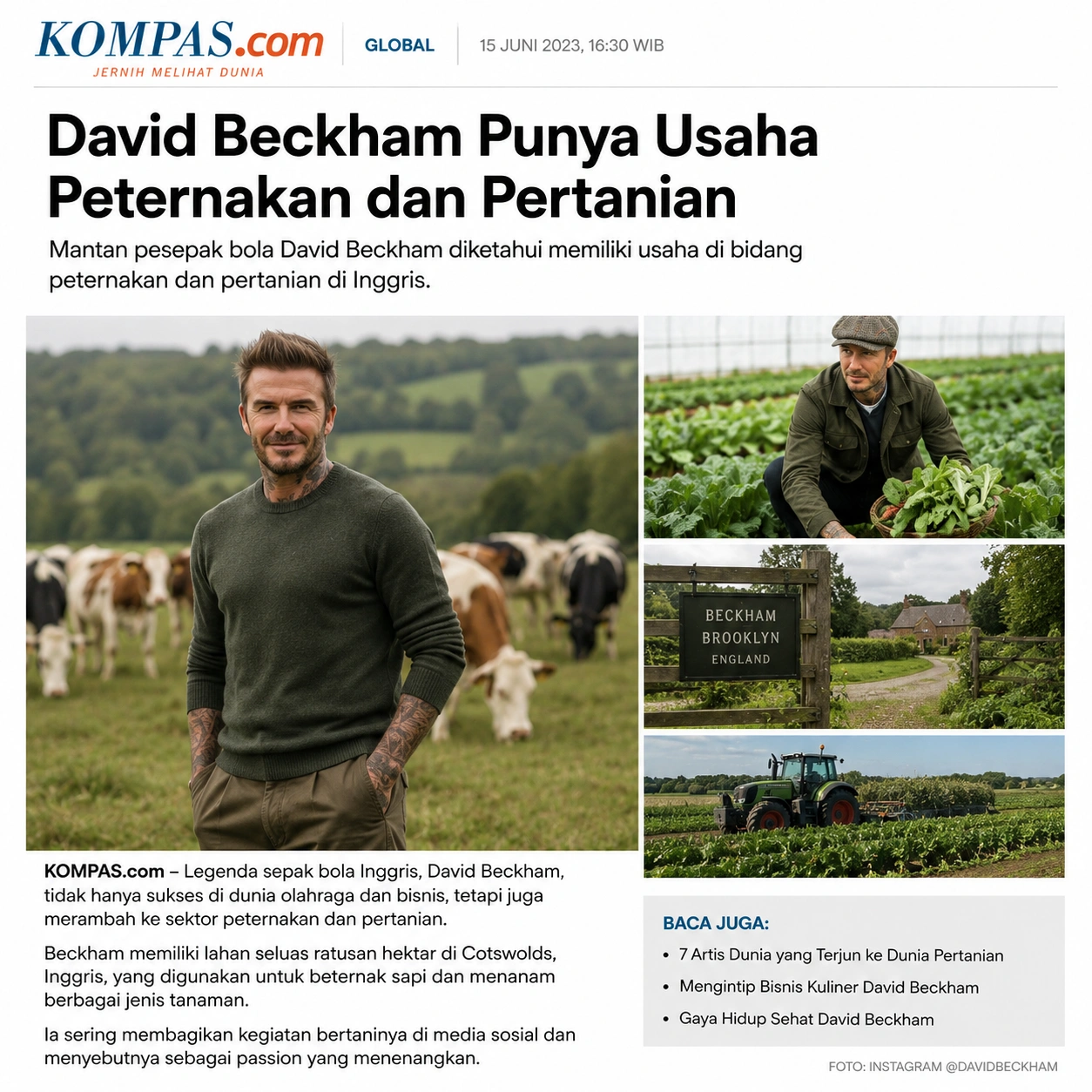 Potensi Lahan Tidur di Indonesia